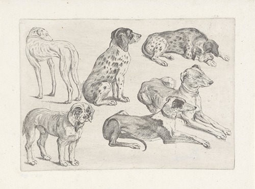 Six hunting dogs