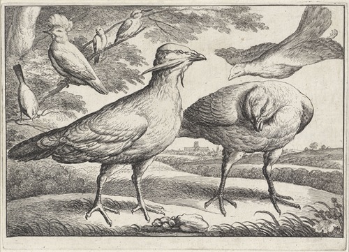 Three bustards, one of them flying in at right
