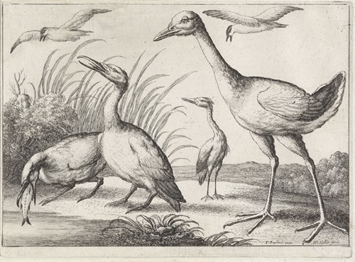 Two cormorants, one of them with a fish in its beak, a heron, and a large wading bird in a river landscape