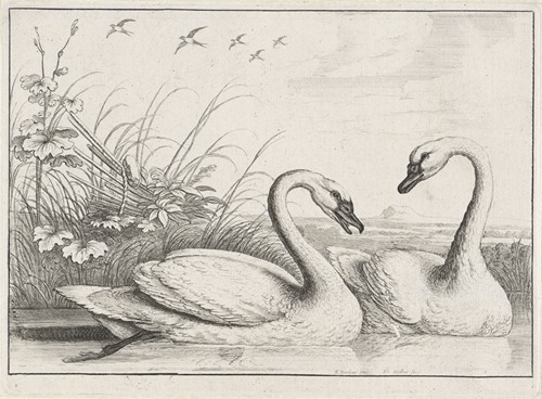 Two swans swimming, with an old fishing weir on the river bank at left, and five swallows flying overhead