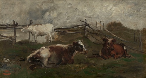 Cows in a Meadow