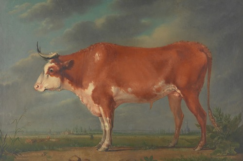 Landscape with cow