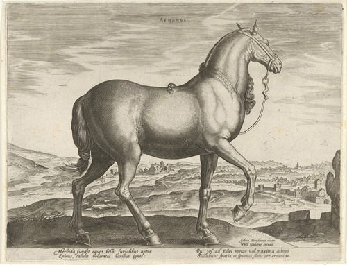 Albanus