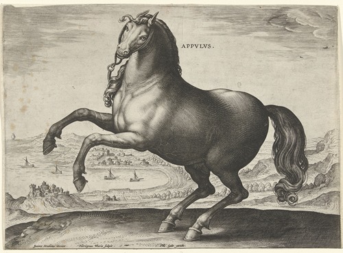 Appulus