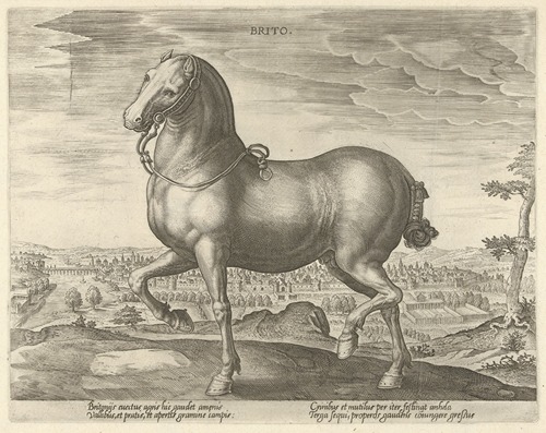 Brito