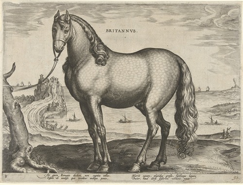 Brittanus.