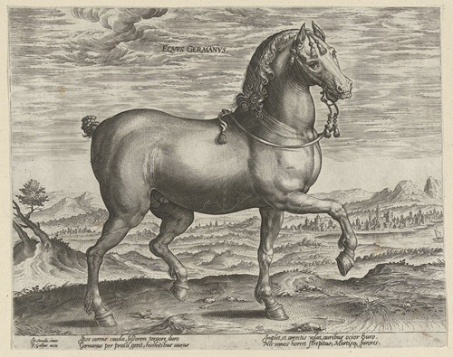 Equus Germanus