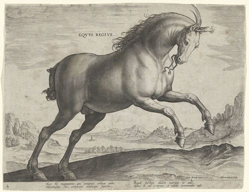Equus Regius.