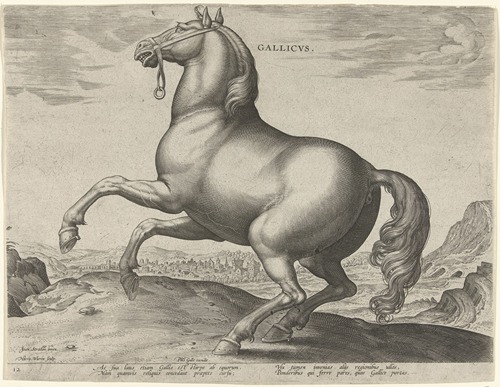 Gallicus.