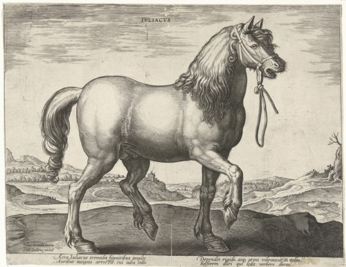 Juliacus