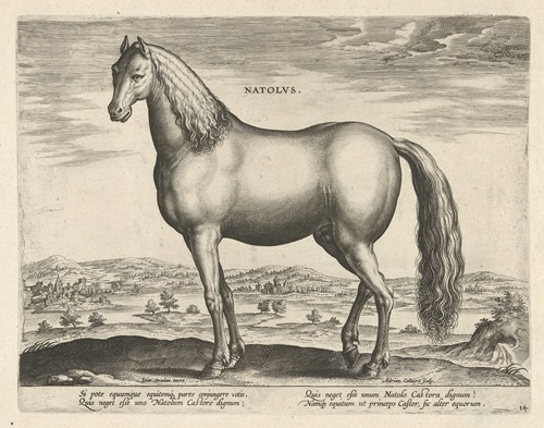 Natolus.