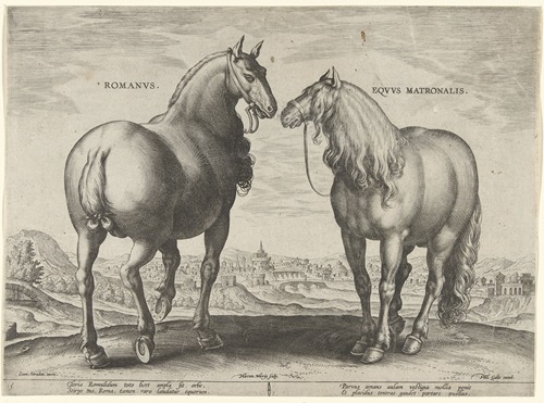 Romanus, Equus Matronalis