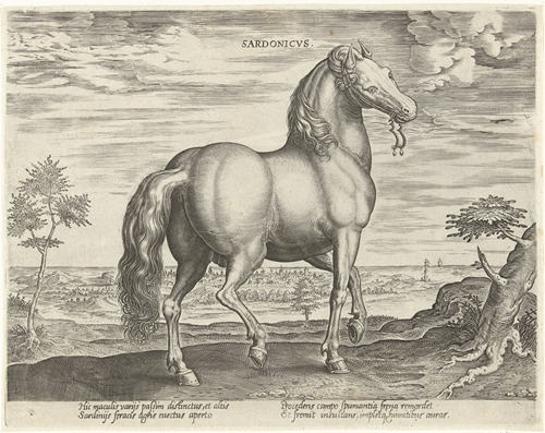 Sardonicus