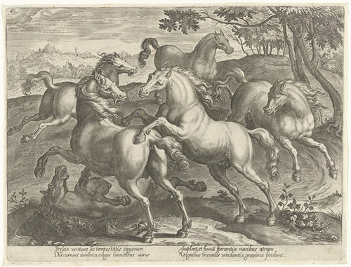 Six fighting horses