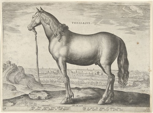 Thessalus.