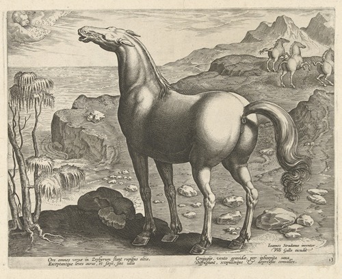Zephyros