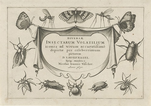 Diversae Insectarum Volatilium Pl.01