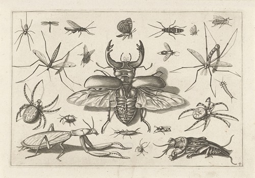 Diversae Insectarum Volatilium Pl.04