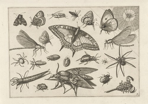 Diversae Insectarum Volatilium Pl.09