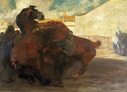 Horse Fight