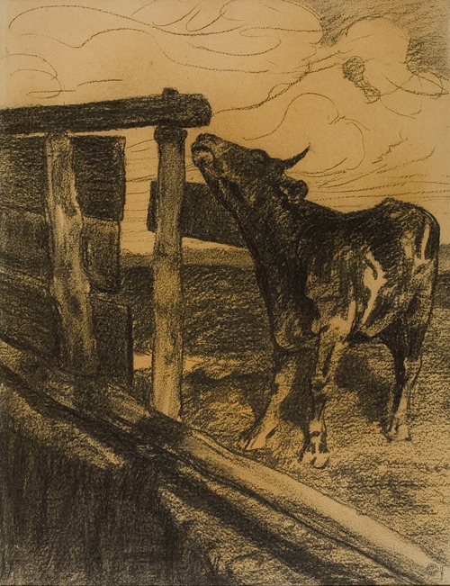 Young Bull Behind a Fence