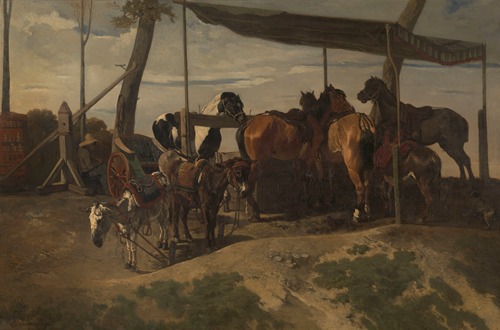 Horses and Donkeys for Hire