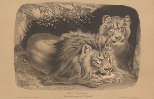 Lion et Lionne