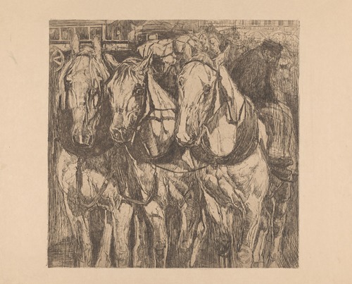 Drie trekpaarden