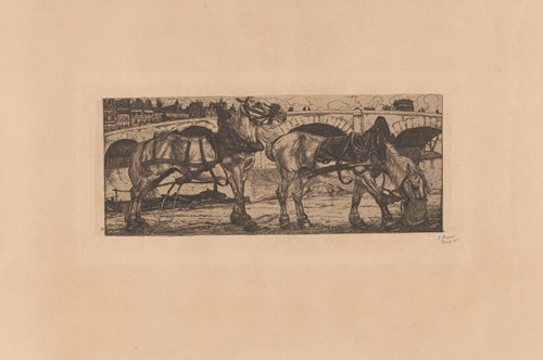 Paarden aan de Seine in Parijs