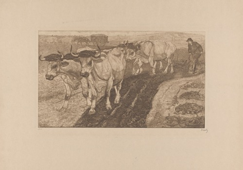 Ploegende ossen