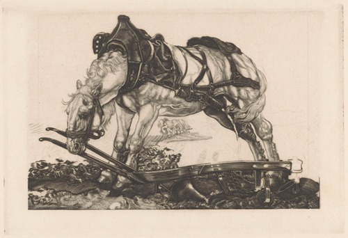 Rustend ploegpaard