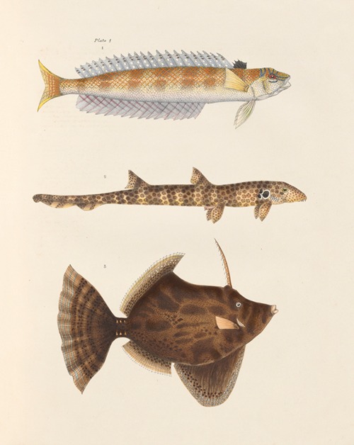 John Richardson - Artvee