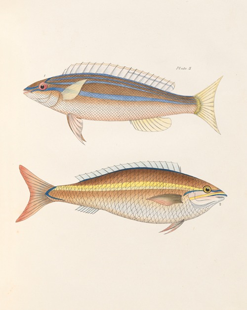 John Richardson - Artvee