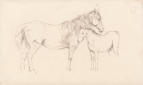 Mare and Foal