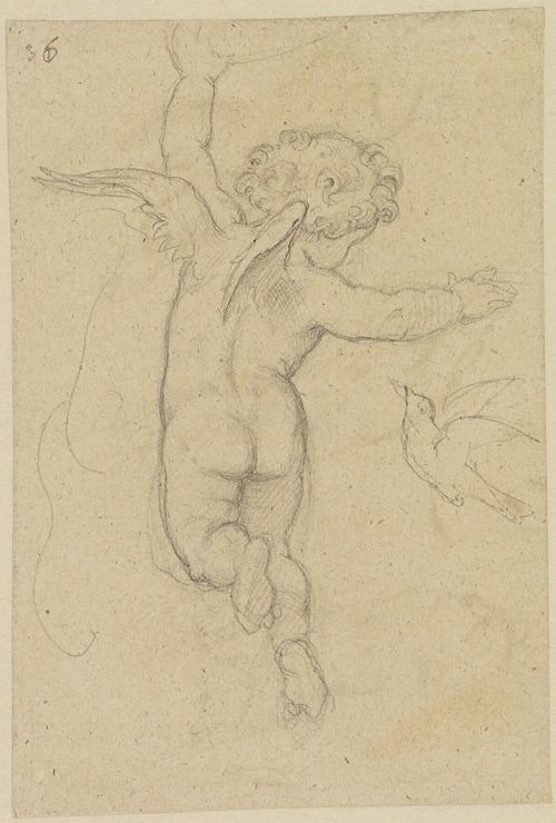 Putto mit Vogel, vom Rücken gesehen, mit ausgebreiteten Armen, senkrecht auffliegend