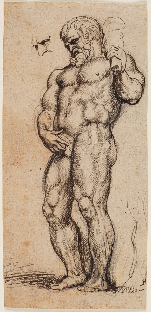 Hercules