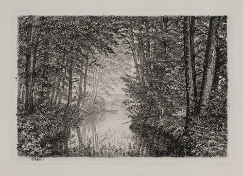 Åløb i en skov