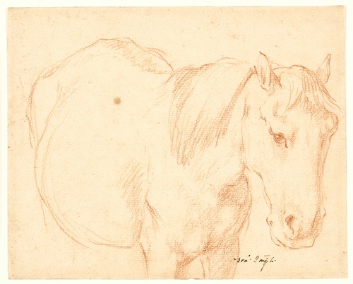 En hest