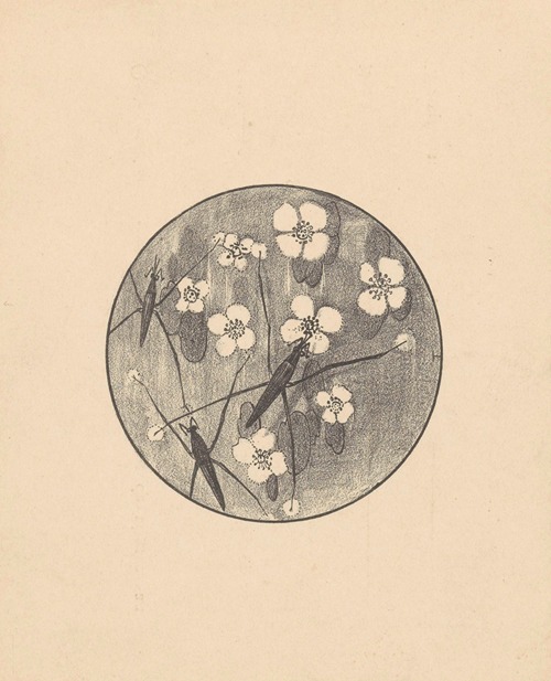 Aankondiging met insecten en bloemen voor serie ‘Dierstudies’