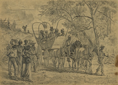 African American refugees coming into the Union lines near Culpeper Court House, Va.