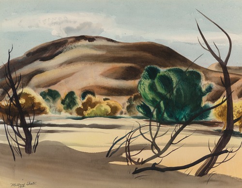 California Dry River Bed
