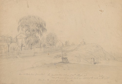View at Mill River Connecticut, the great willow tree between Captn Sturgis and a little of the river
