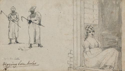 Digging corn holes. La Duchesse [woman seated in window]