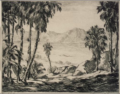 Desert Vista