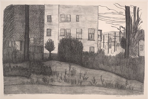 Houses near Presidio