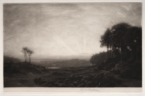 Landscape