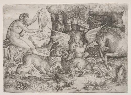 Combat of Animals