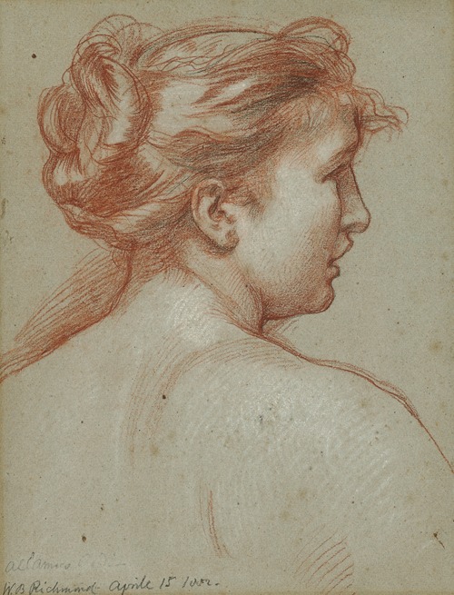 Study of a female head, seen from behind
