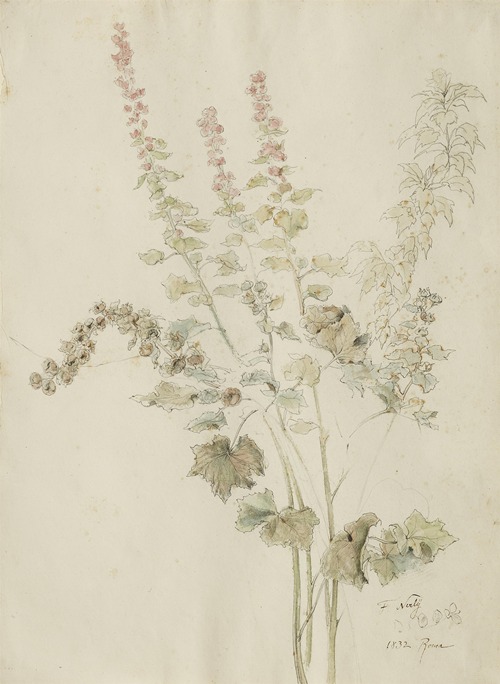 Herbstliche Malvenblüten