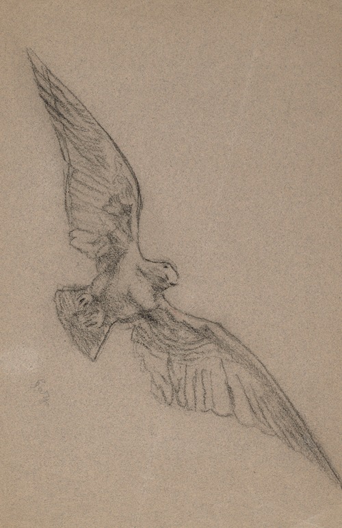 Bird in Flight